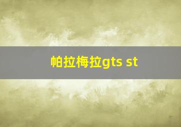 帕拉梅拉gts st